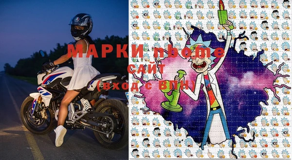 PSILOCYBIN Белокуриха