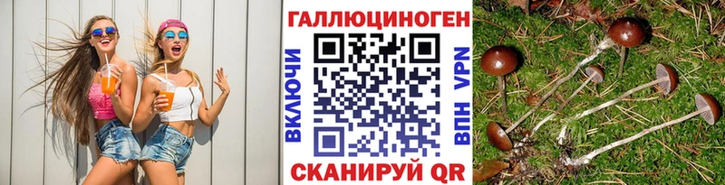 omg ссылки  Кондрово  Псилоцибиновые грибы Psilocybine cubensis  купить  цена 